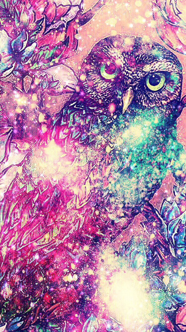 Cute Galaxy Owl HD Wallpaper