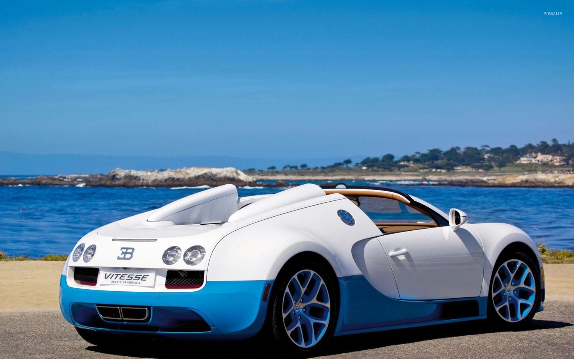 White and blue Vitesse Bugatti Veyron wallpaper wallpaper