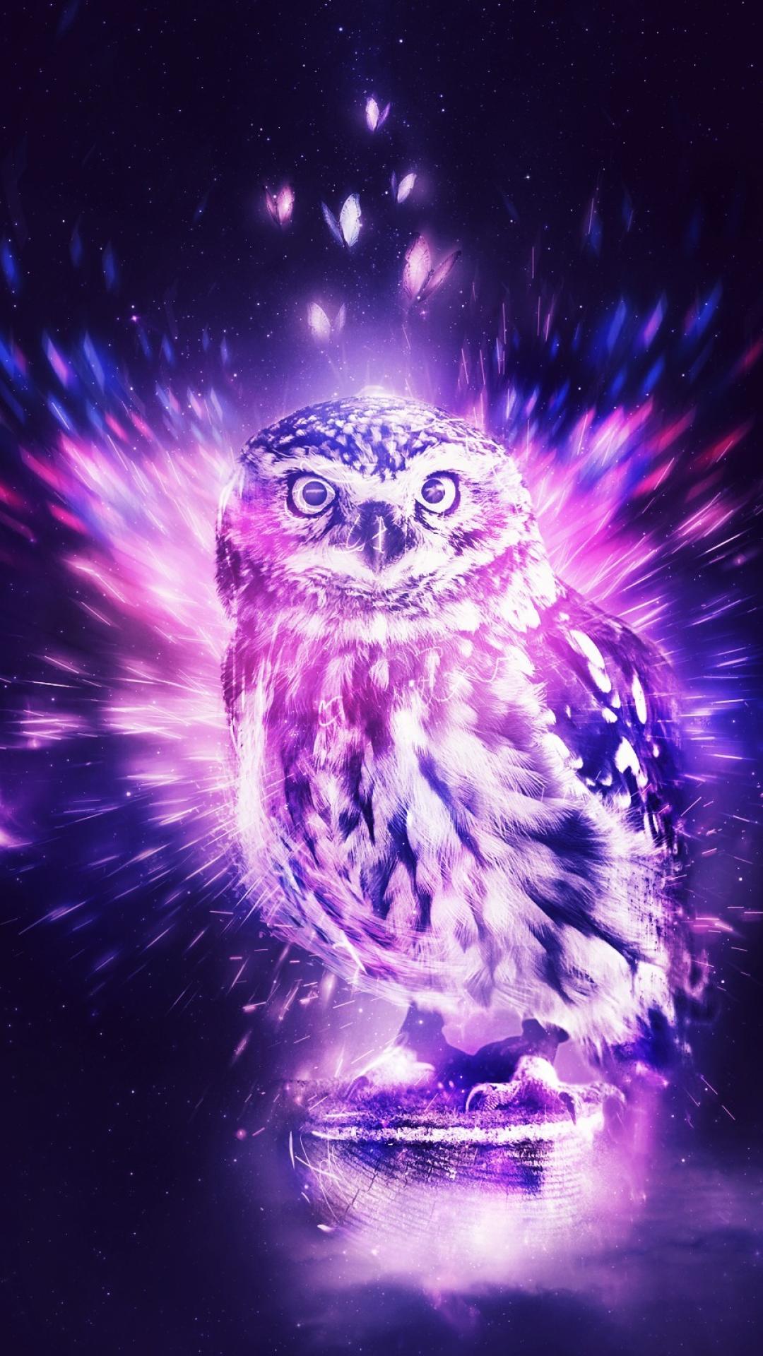cute purple owl wallpaper