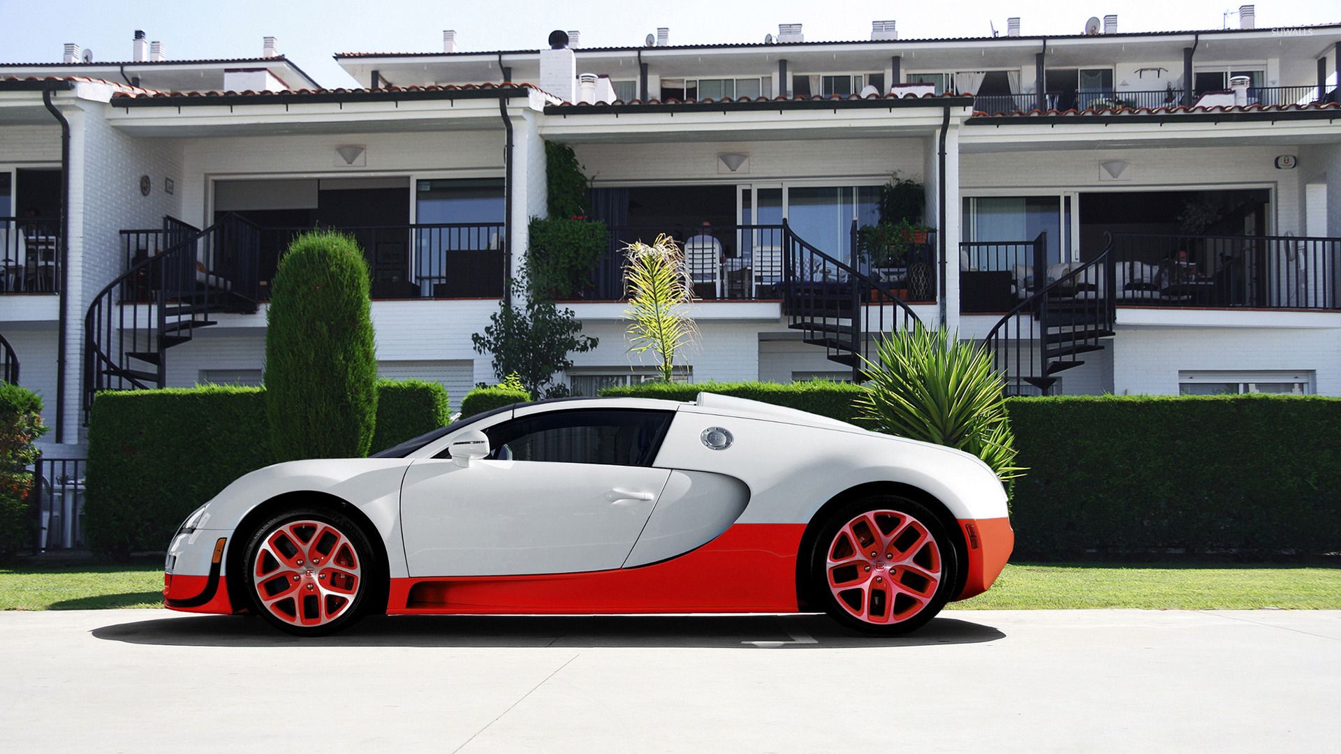 White Bugatti Veyron in front of the house wallpaper wallpaper