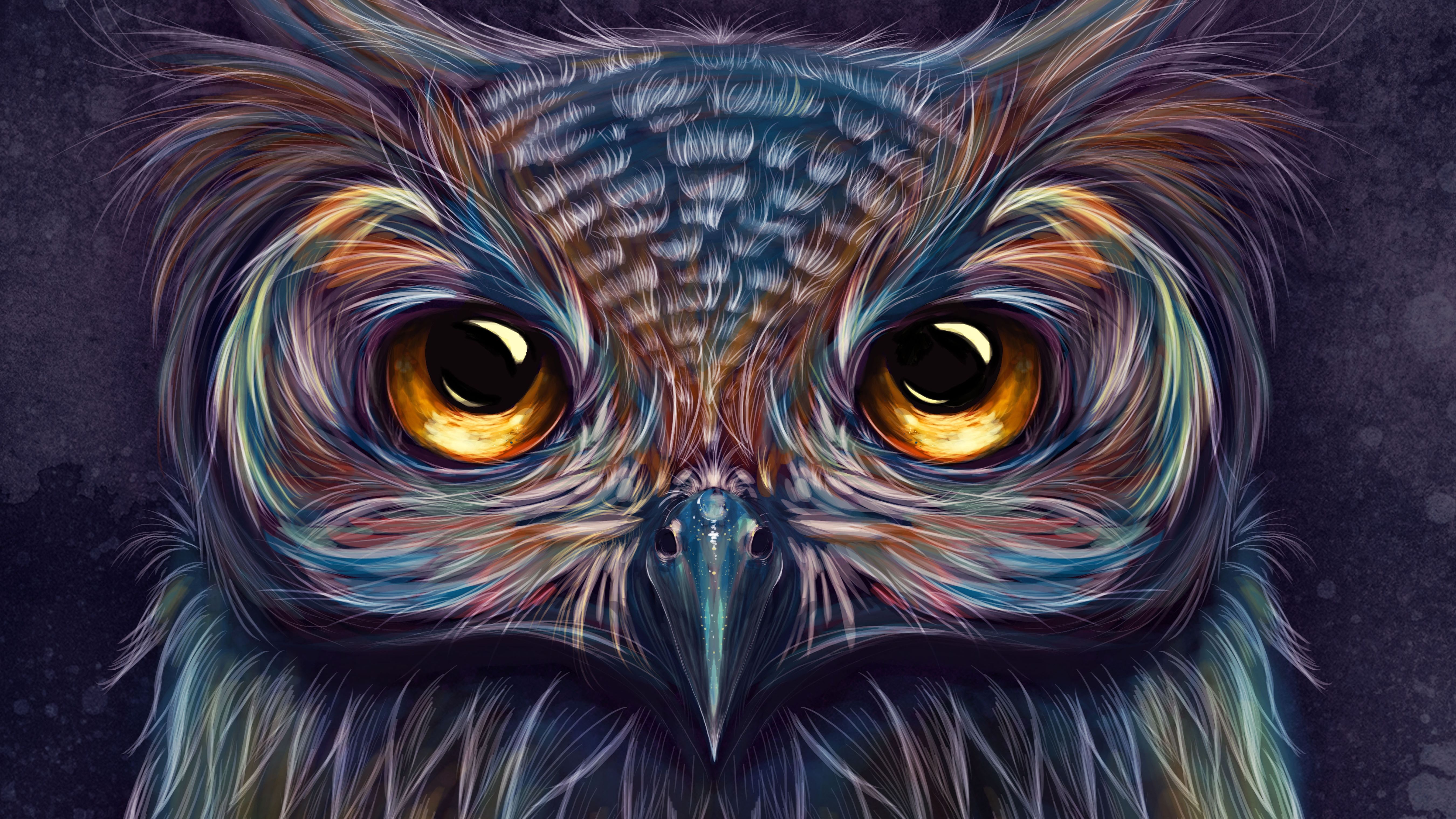 Owl Colorful Art 5k Samsung Galaxy Note S S SQHD HD 4k Wallpaper, Image, Background, Photo and Picture