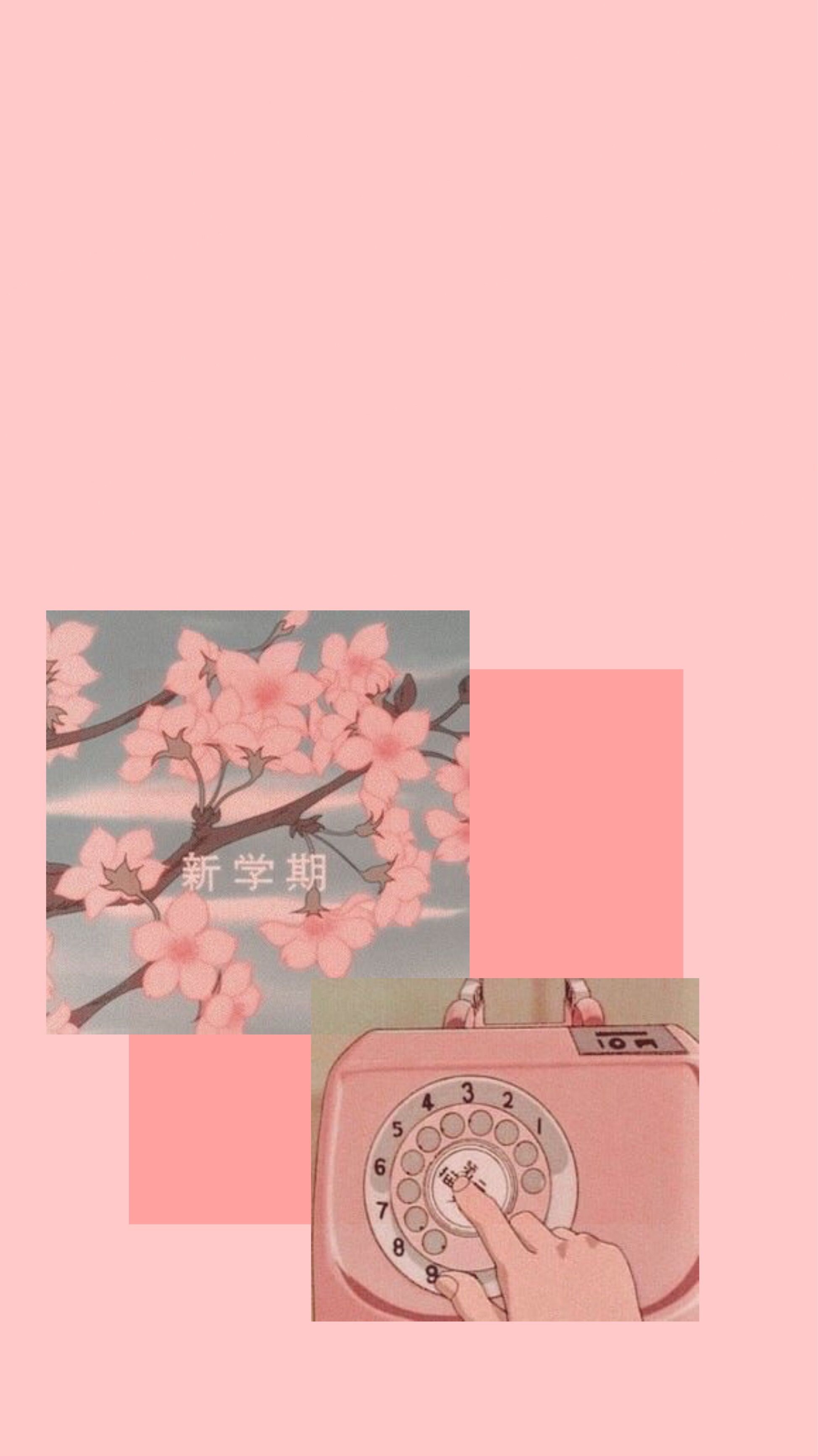 Aesthetic Background Japanese Cherry Blossom Wallpaper