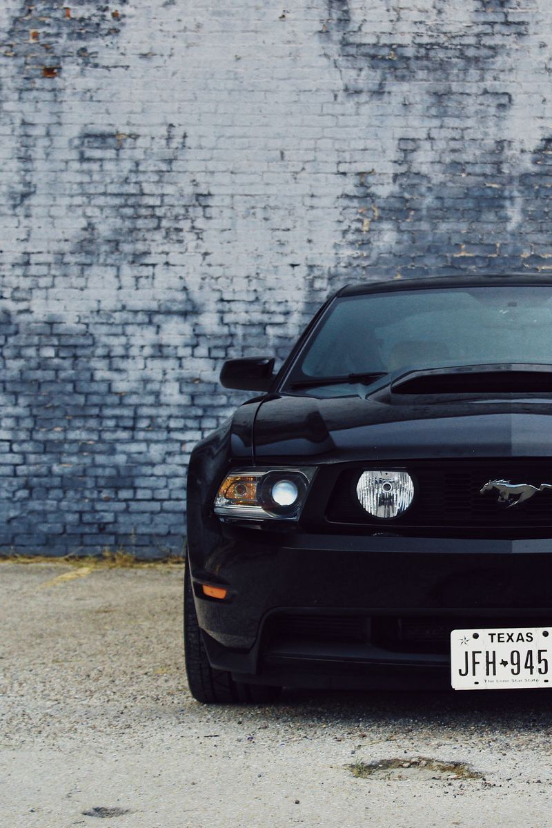 Ford Mustang Muscle Car Free Wallpaper download  Download Free Ford Mustang  Muscle Car HD Wallpapers to your mobile phone or tablet
