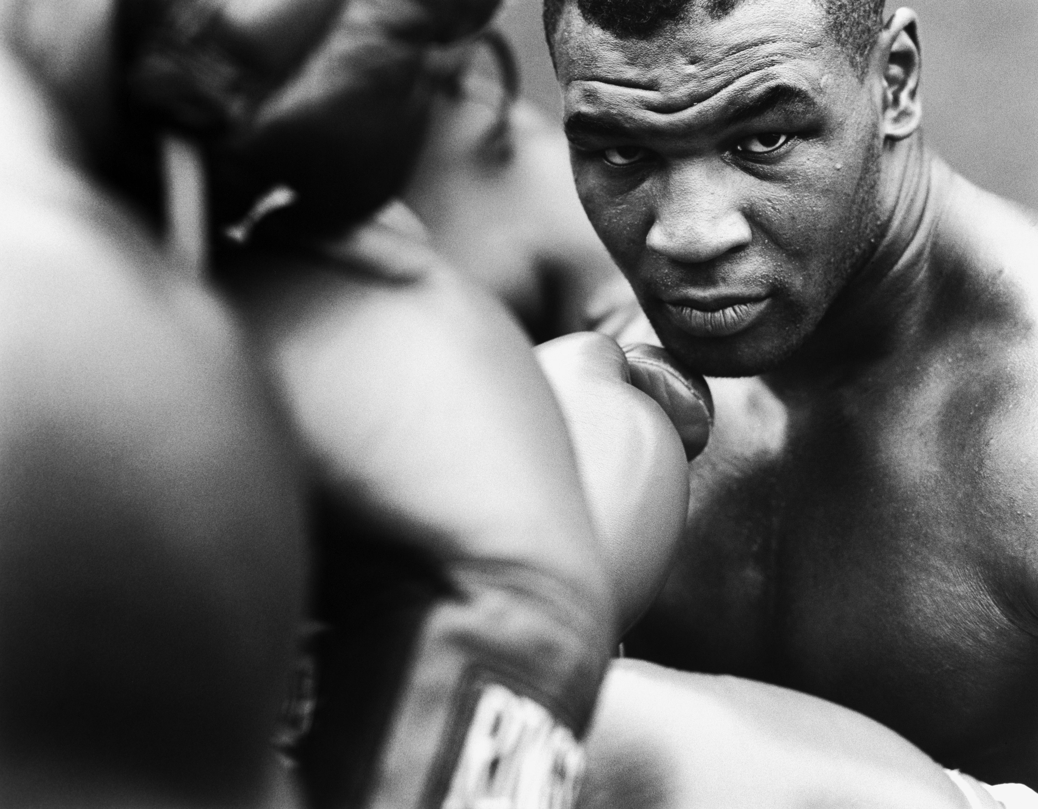 Download Wallpaper, Download 3543x2760 black and white gloves stare boxing mike tyson knockout People HD Wallpaper, Hi Res People Wallpaper, High Definition Wallpaper