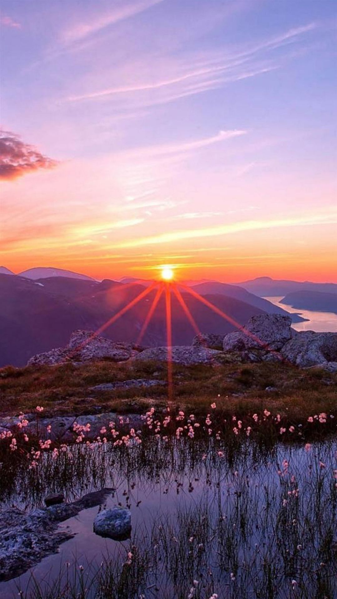 Beautiful Sunrise, iPhone, Desktop HD Background / Wallpaper (1080p, 4k) (1440x2560) (2021)