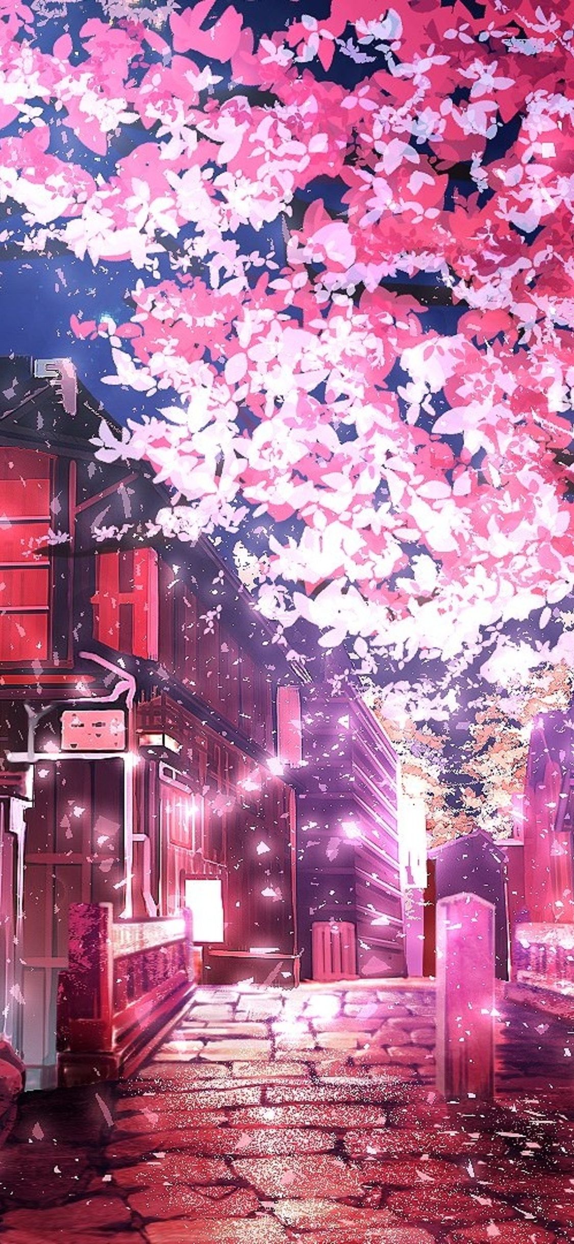 Anime Cherry Blossom Trees Wallpaper