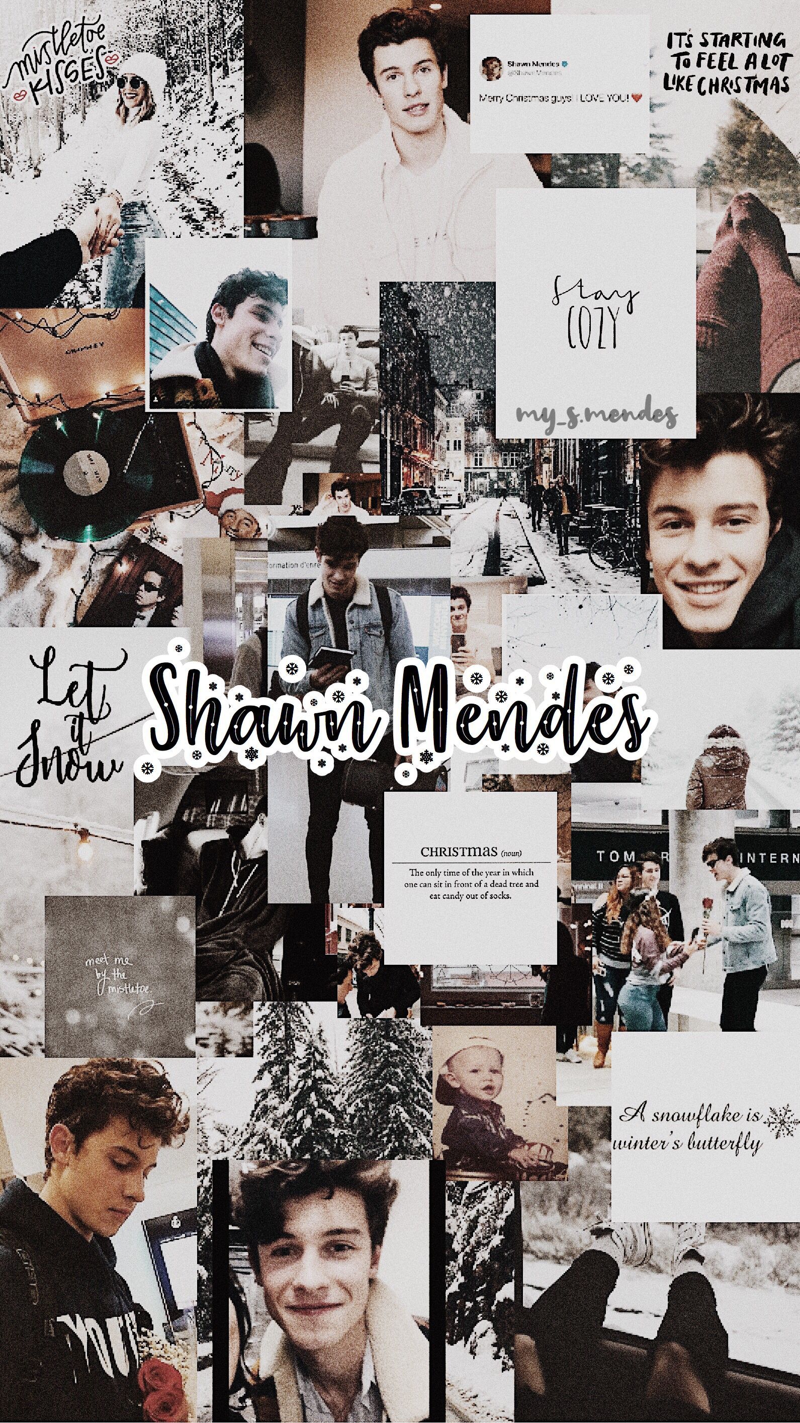 Shawn Mendes Collage Wallpaper