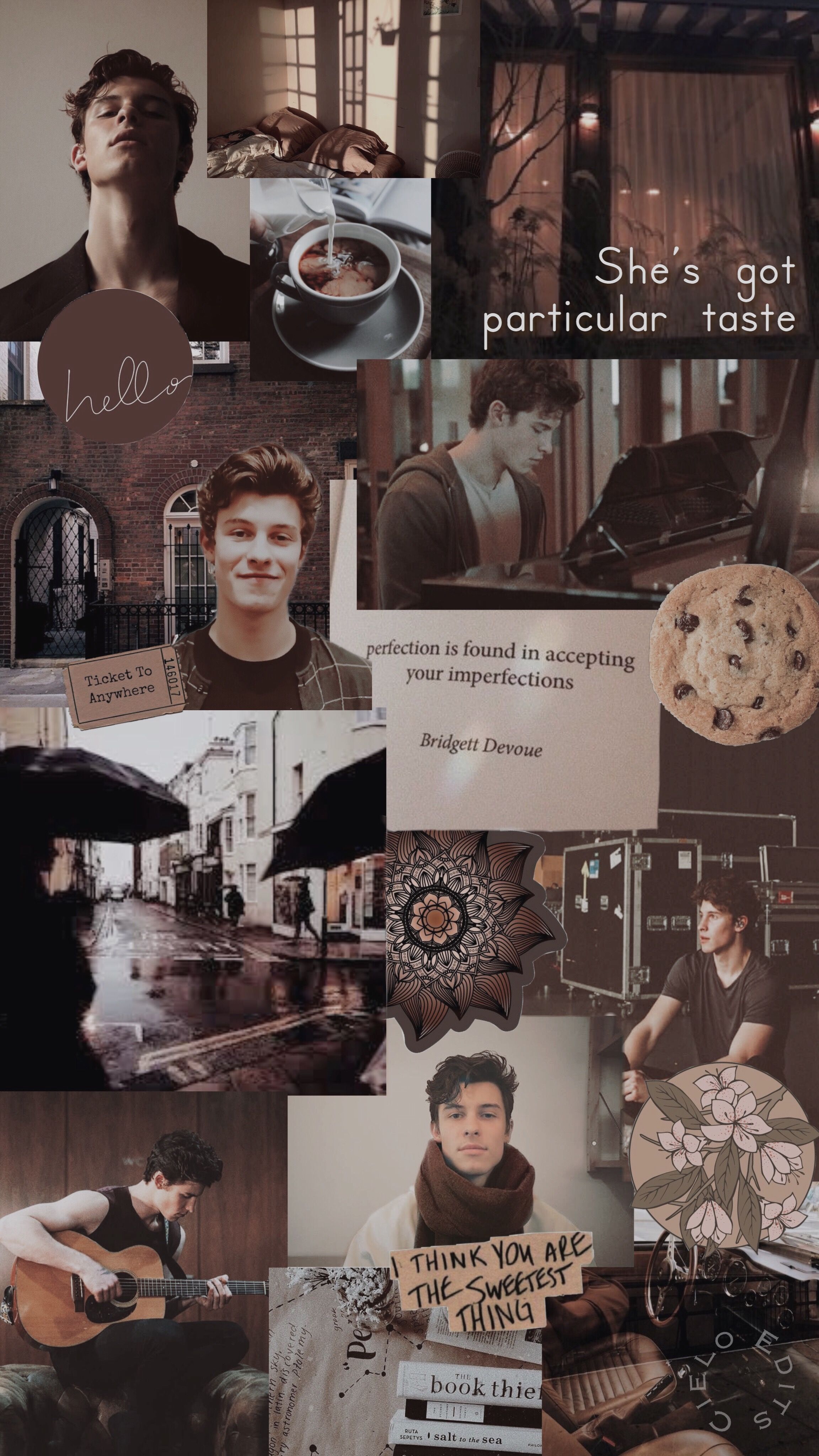 Shawn Mendes Collage