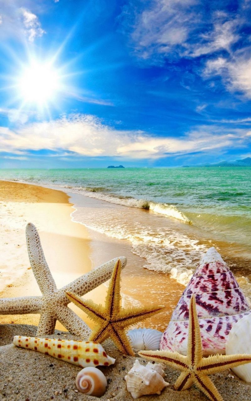Free download Summer Beach Sun Starfish Waves Android Wallpaper download [1080x1920] for your Desktop, Mobile & Tablet. Explore Free Summer Wallpaper for iPhone. Summer Wallpaper, Summer Tumblr Wallpaper, iPhone