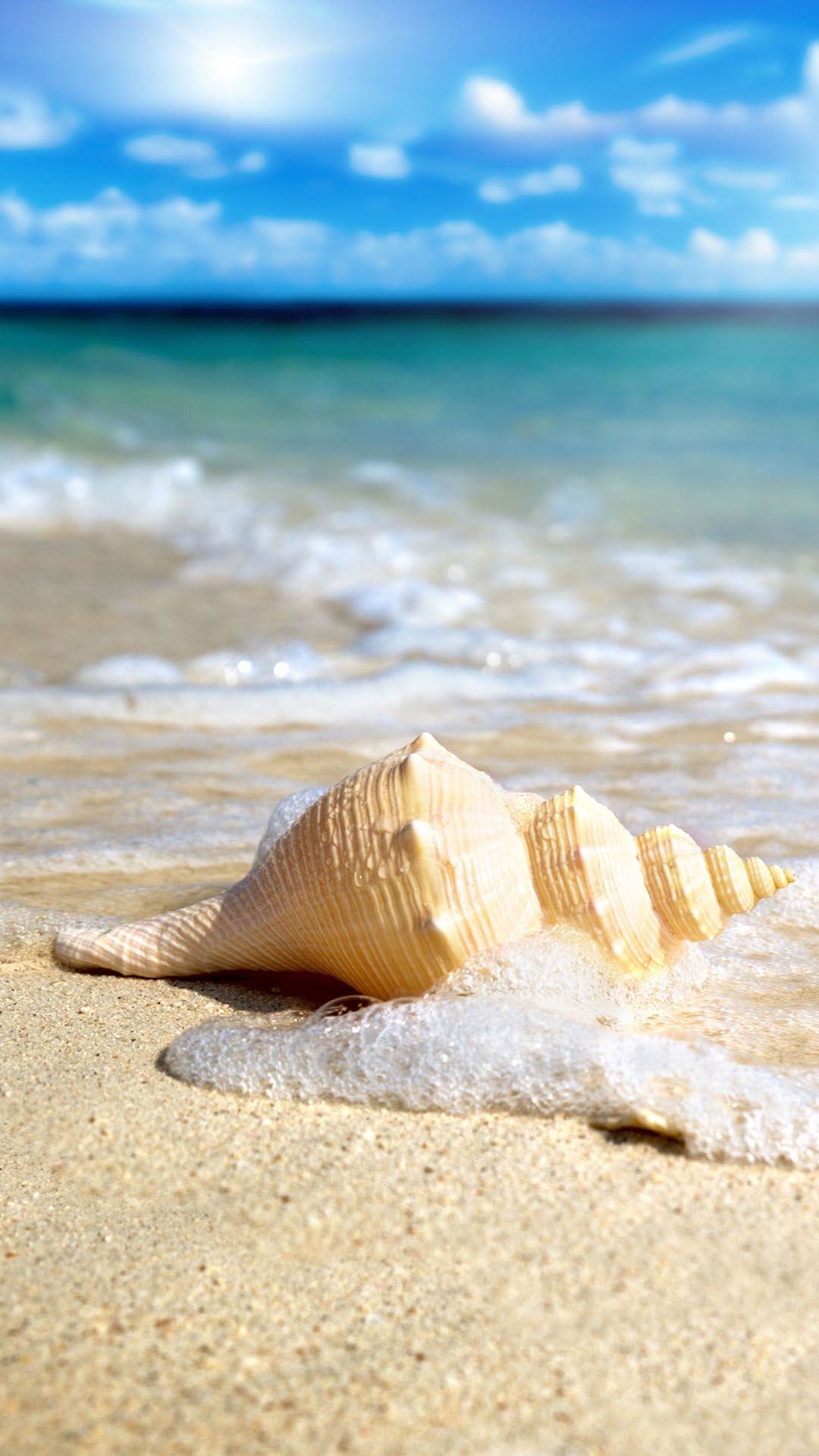 White Seashell In Waves Android Wallpaper free download