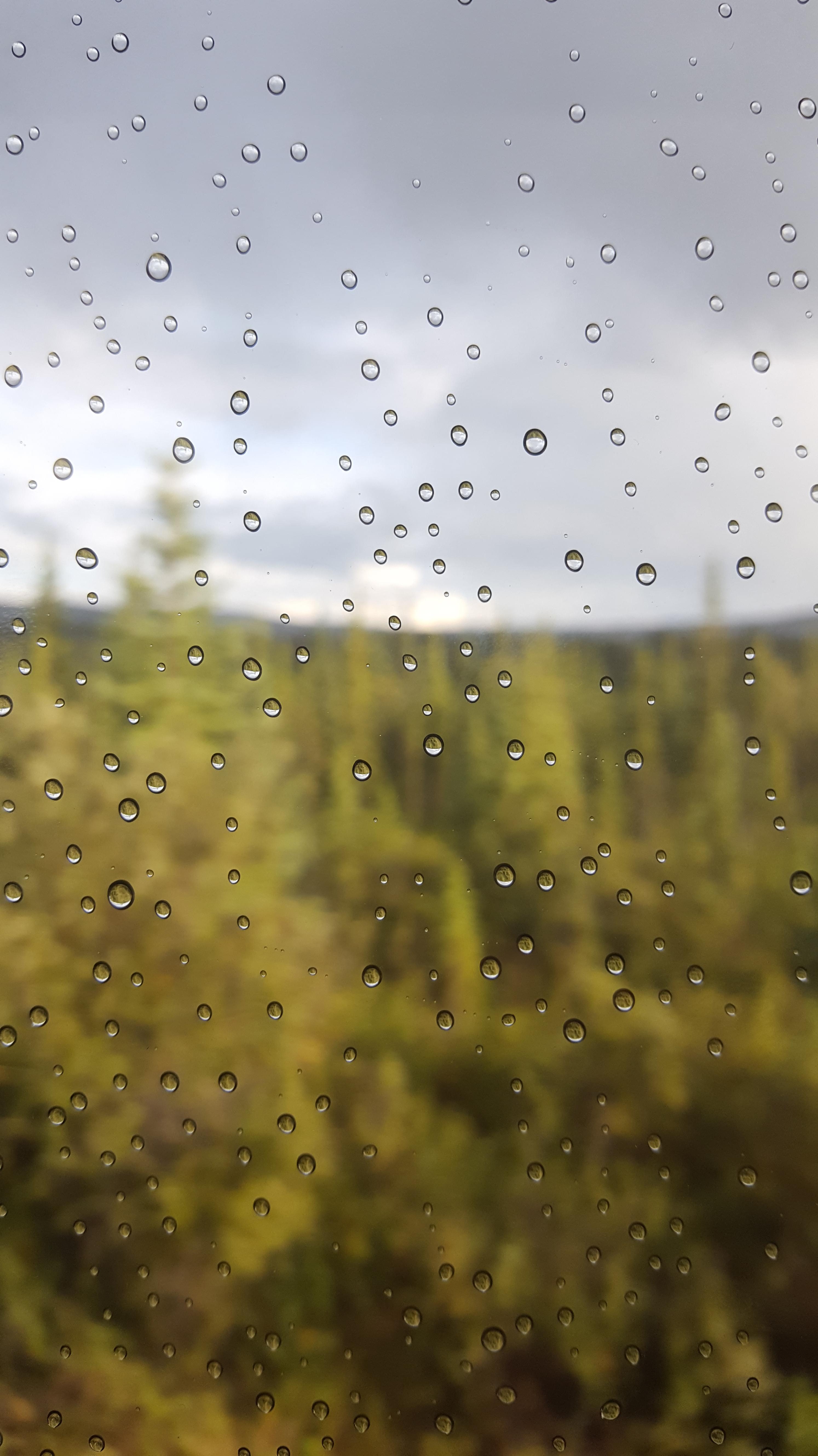 Raindrops on the Window of the Alaskan Railroad Train. iPhone X Wallpaper X Wallpaper HD