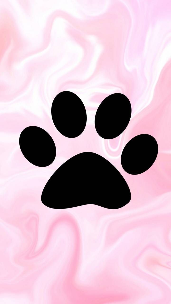 Dog paw wallpaper