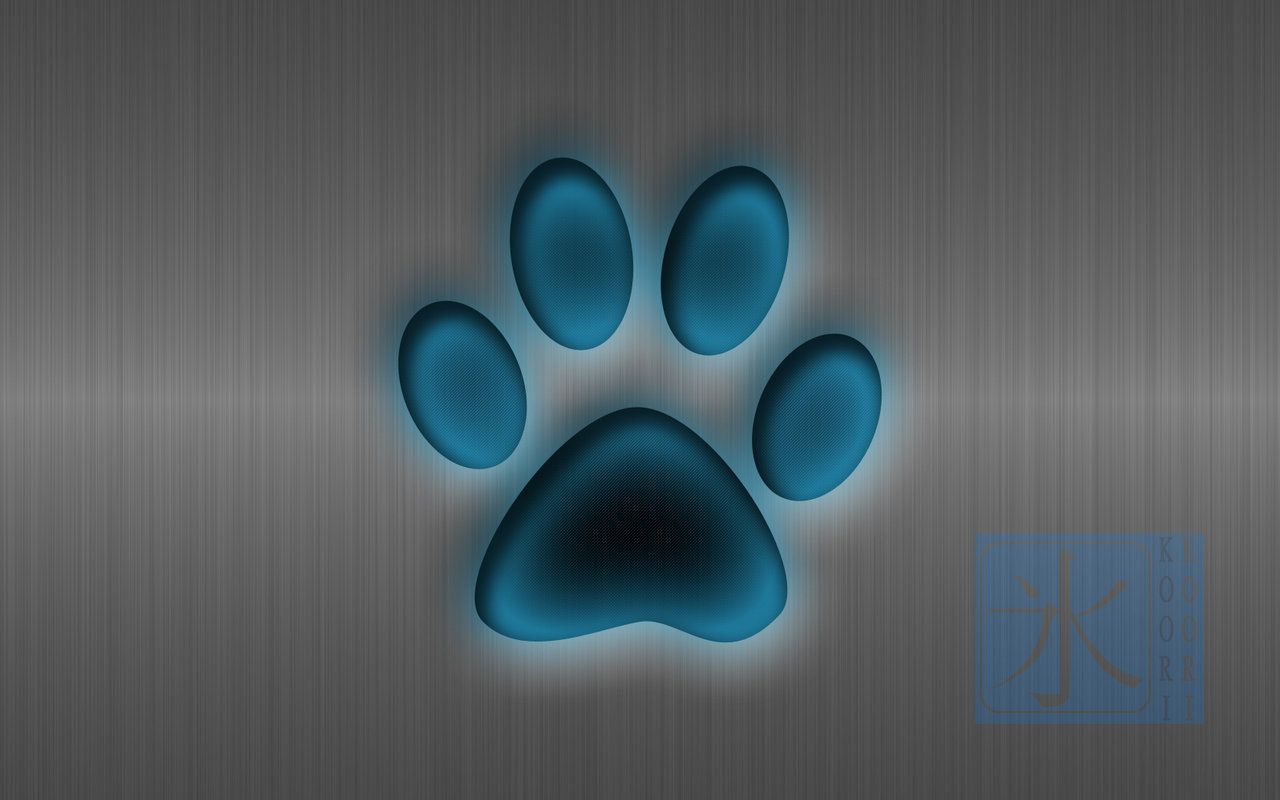 Dog Paw Wallpapers - Wallpaper Cave