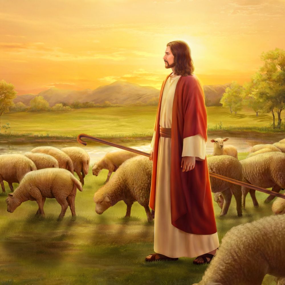 Bible Study for Today: God's Will Behind the Parable of the Lost Sheep. Jesus artwork, Jesus art, Bible picture
