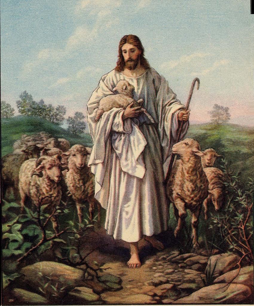 Jesus Picture, My Good Shepherd
