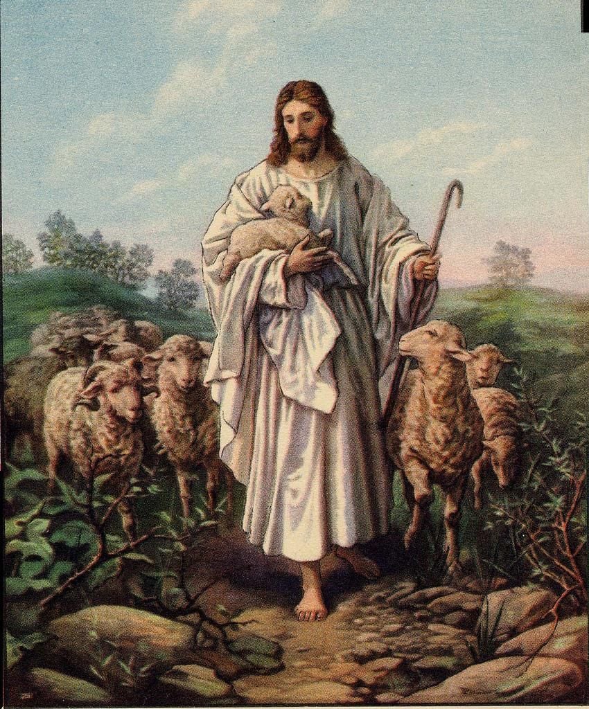 Jesus With Sheep Wallpapers - Wallpaper Cave