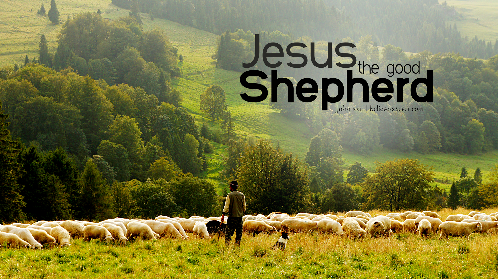 Jesus the Good Shepherd Background