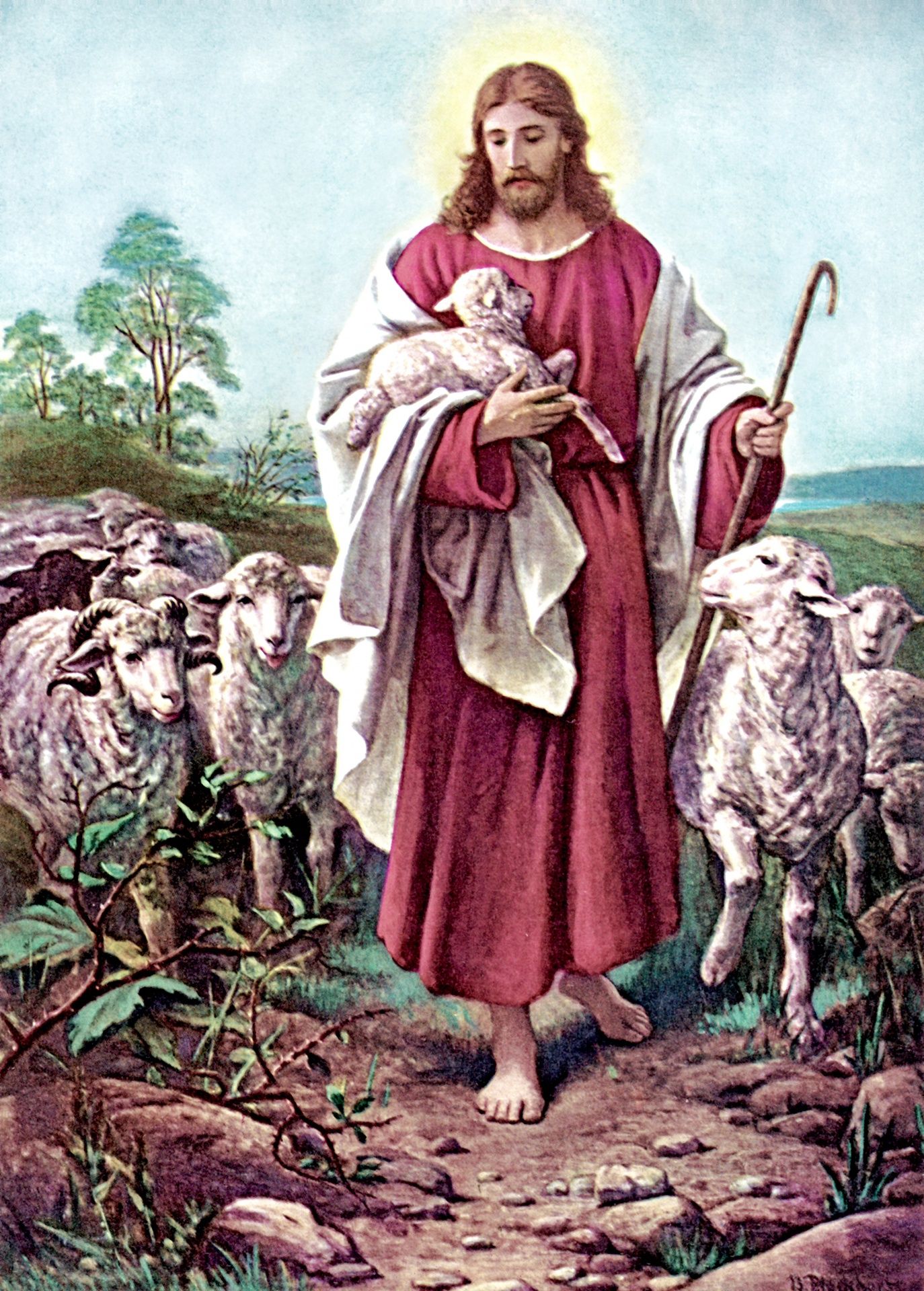 Jesus The Good Shepherd Free Domain Picture