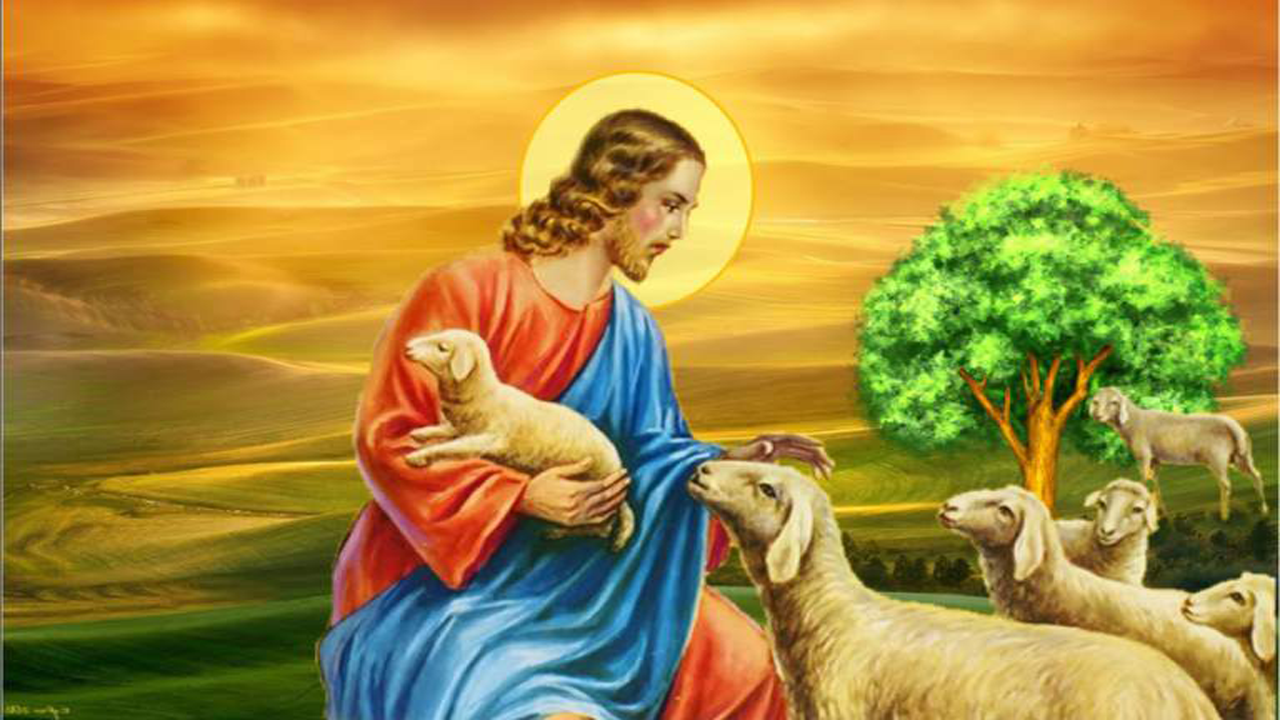 Jesus And Sheep Wallpaper