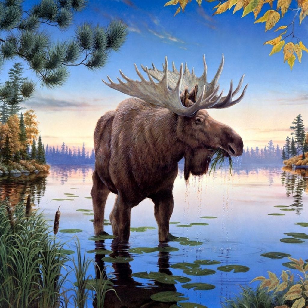 Moose Art Wallpapers - Wallpaper Cave