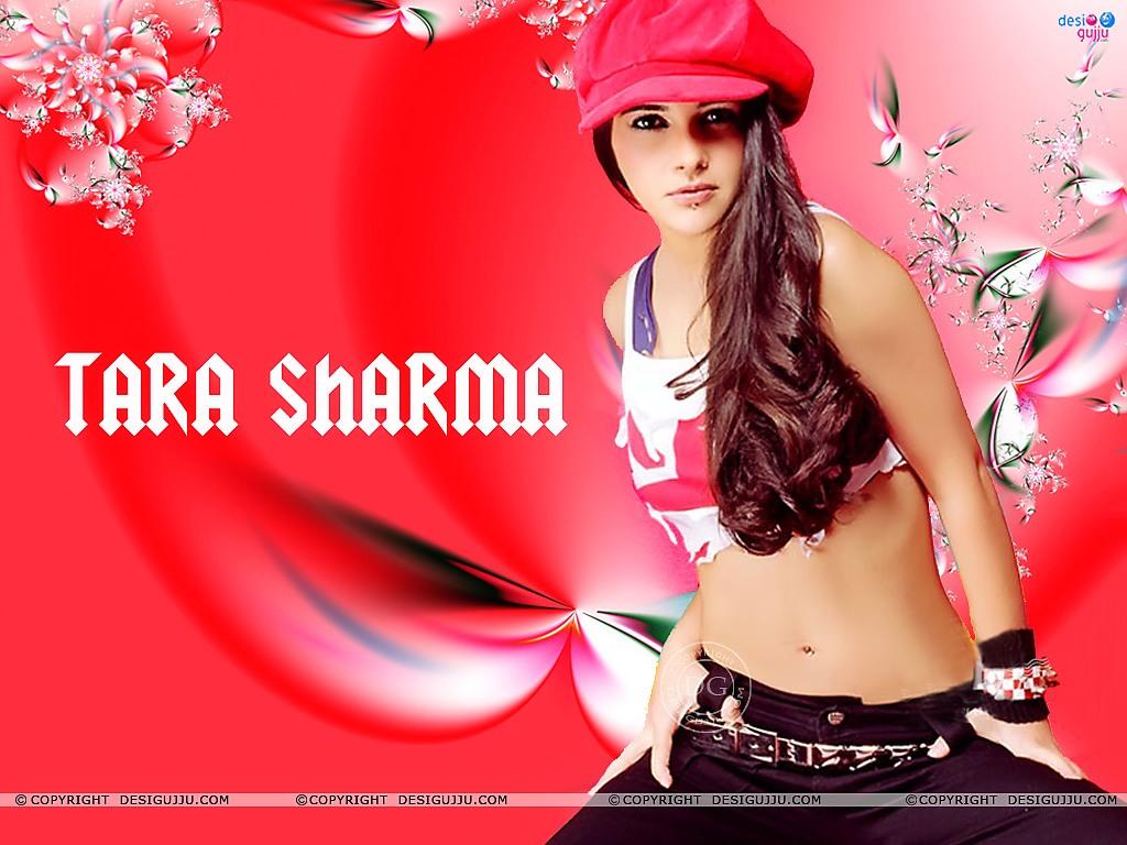 Tara Sharma Wallpaper Wallpaper Download, Indian Hot Celebrities Wallpaper, Bollywood Actors And Actorsses, Hot Wallpaper Download, Desktop Wallpaper, Bollywood Actresses