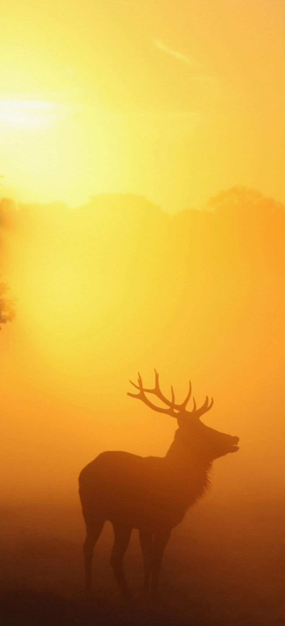 خلفيات ايفون