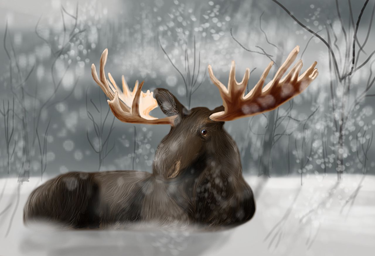 Desktop Wallpaper Moose Horns animal Painting Art