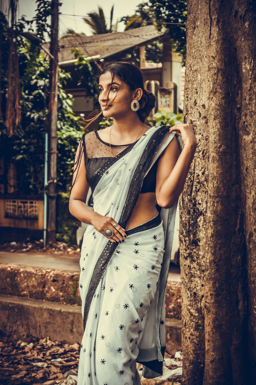 Traditional Saree Picture. Download Free Image