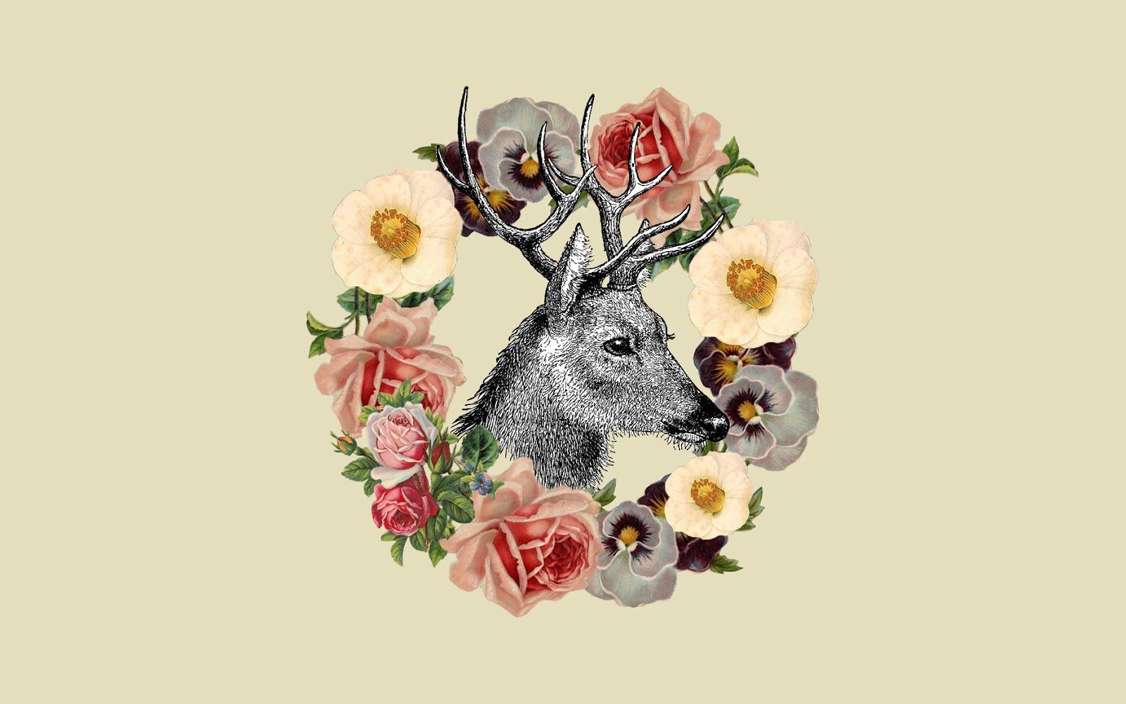 Pink grey cream floral deer antlers desktop wallpaper background. Deer background, Wallpaper background, Cool wallpaper