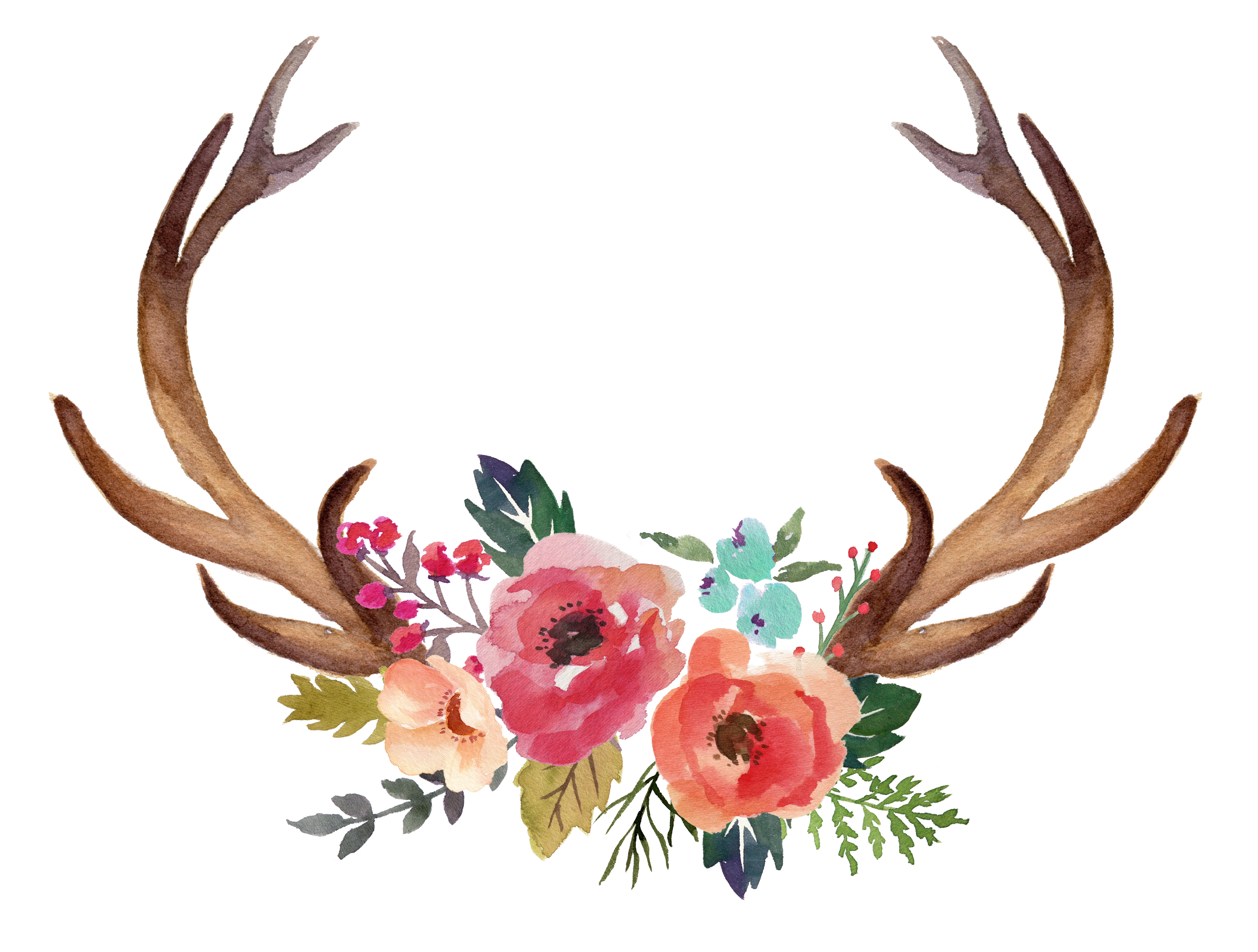 waterslides. Floral antlers, Painted antlers, Watercolor deer