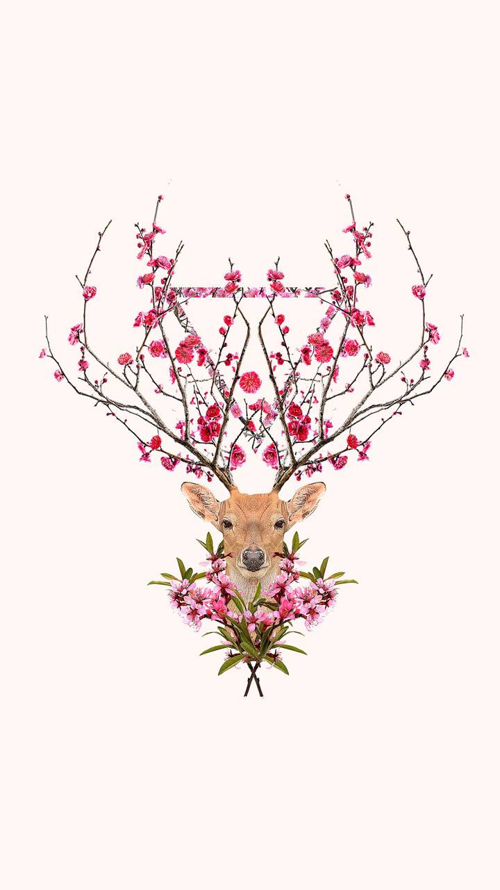 Deer with flowers wallpaper