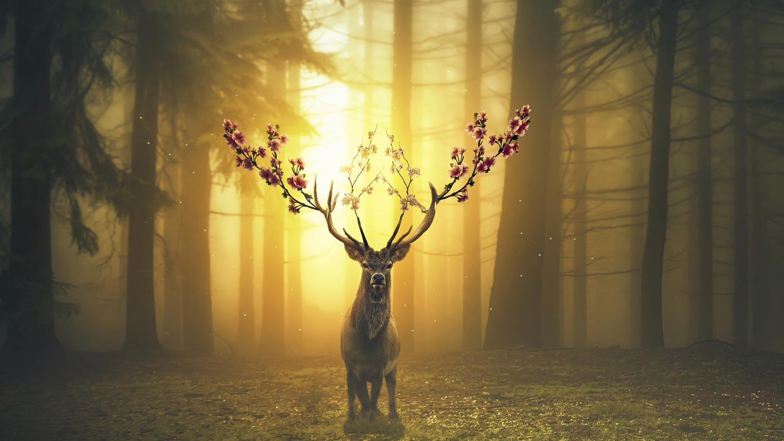 Download 1600x900 Deer, Flowers, Horns, Forest, Autumn, Surrealism Wallpaper