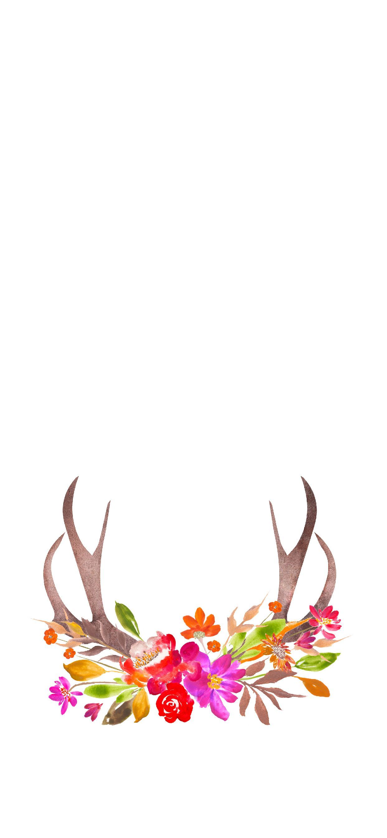 Fall Floral Antler Wallpaper for iPhone. Fall wallpaper, Floral wallpaper iphone, iPhone wallpaper fall