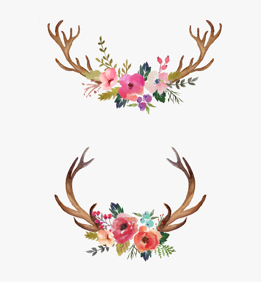 Antlers And Flowers Png Free Floral Antler Clipart, Free Transparent Clipart