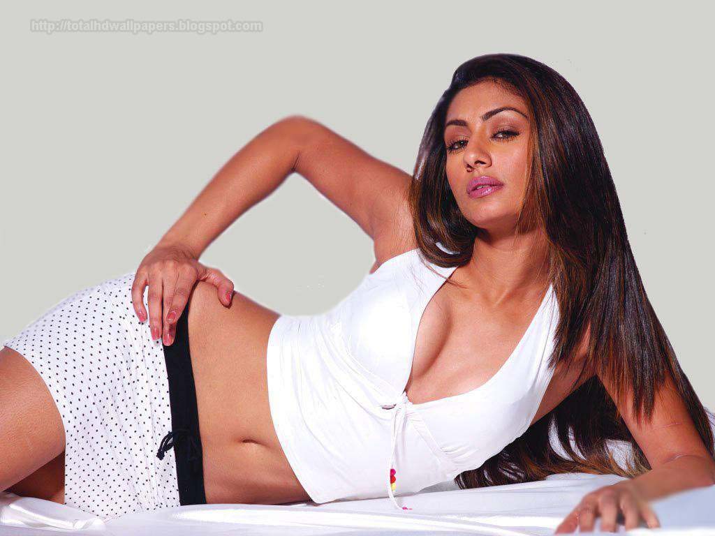 Hollywood Celebrities: Mahek Chahal HD Wallpaper