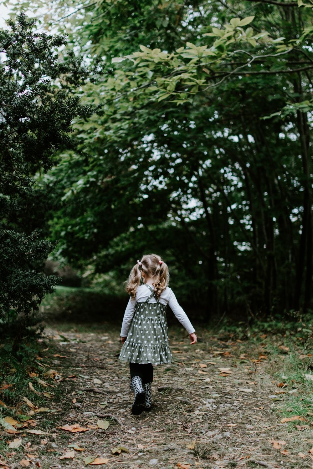 Pigtails Picture. Download Free Image