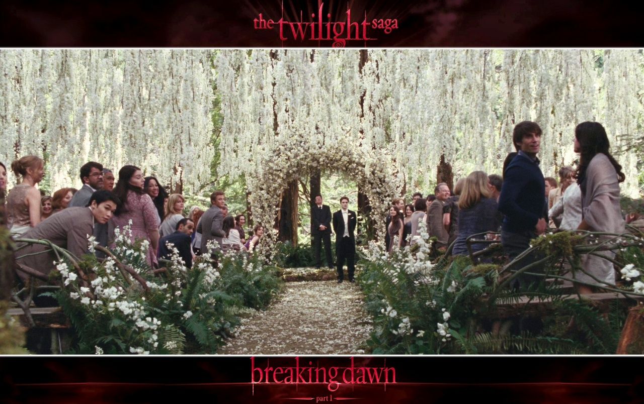 Breaking Dawn: Wedding Party wallpaper. Breaking Dawn: Wedding Party