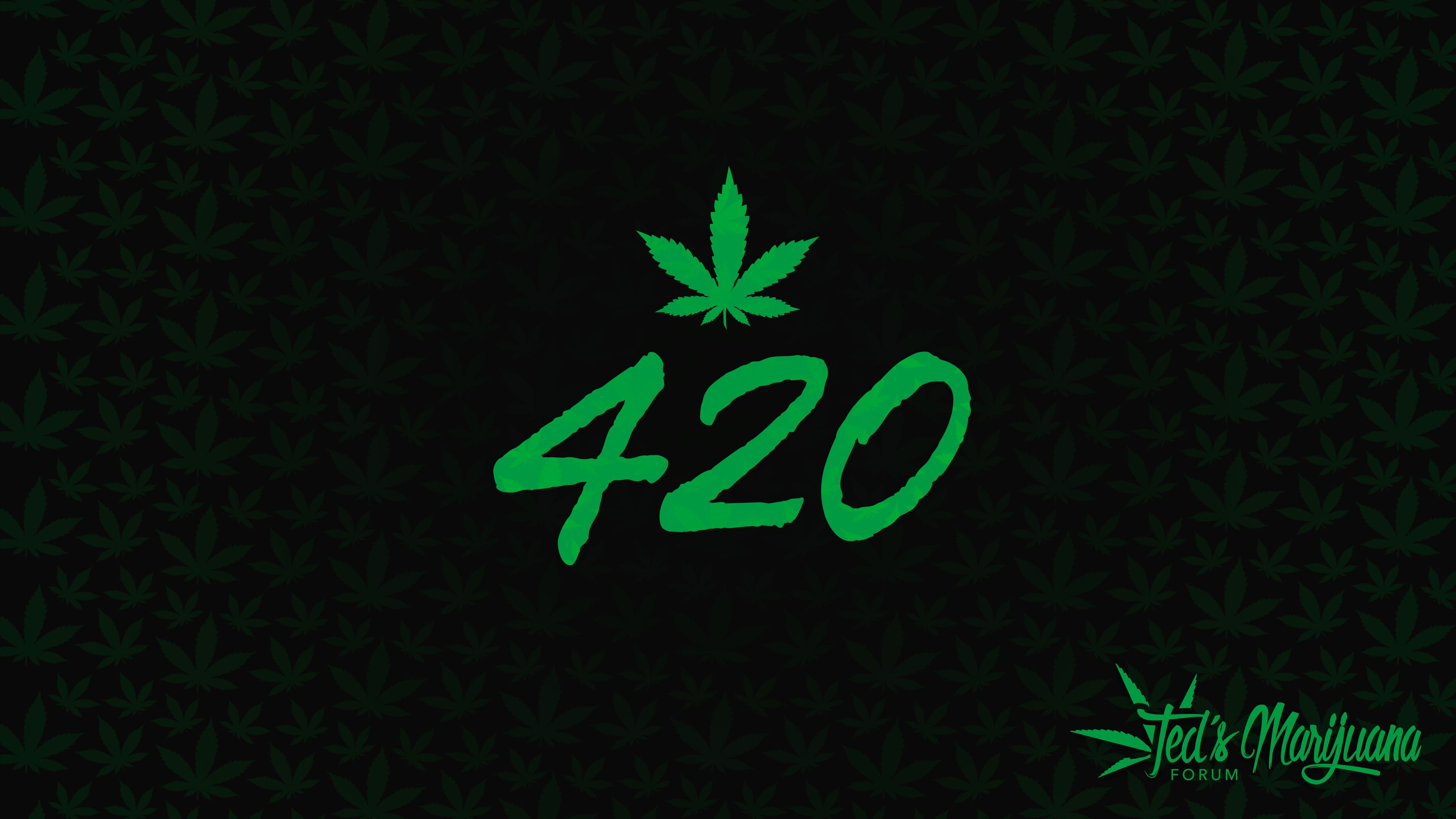 Marijuana Wallpaper Free HD Wallpaper