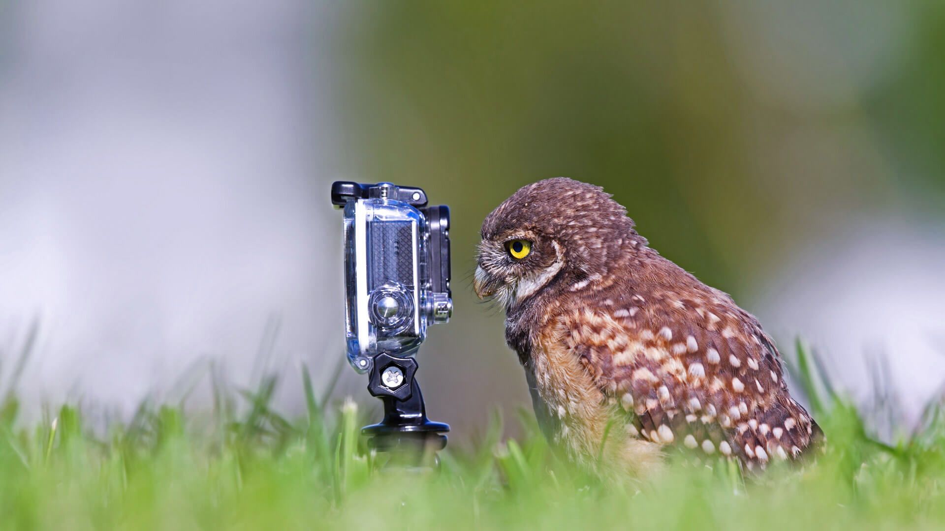 Oh snap! It's National Camera Day