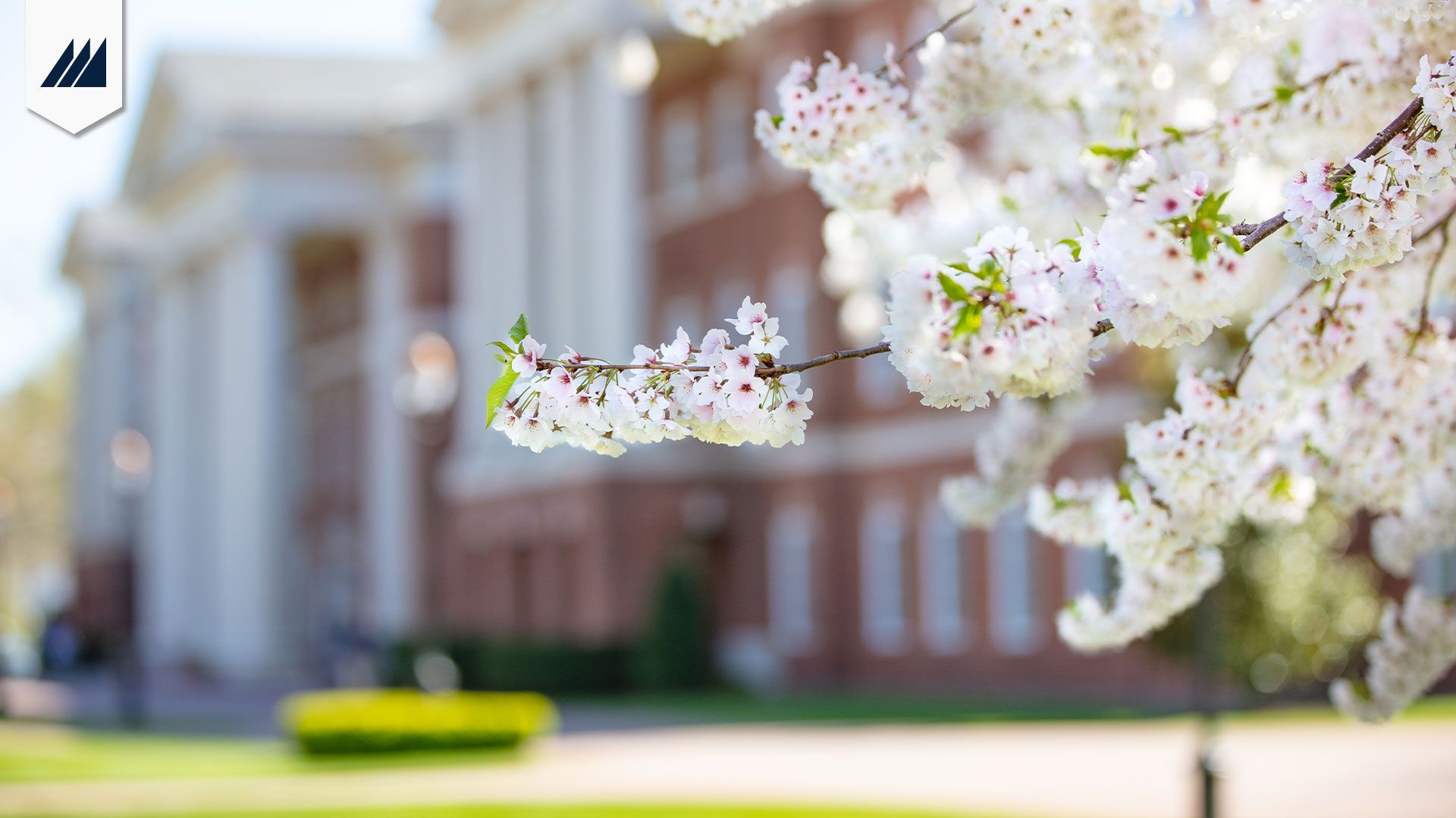 Wallpaper and Public Relations Newport University