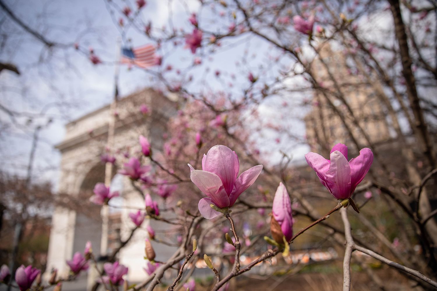 Make A Favorite Campus Photo Your Zoom Background
