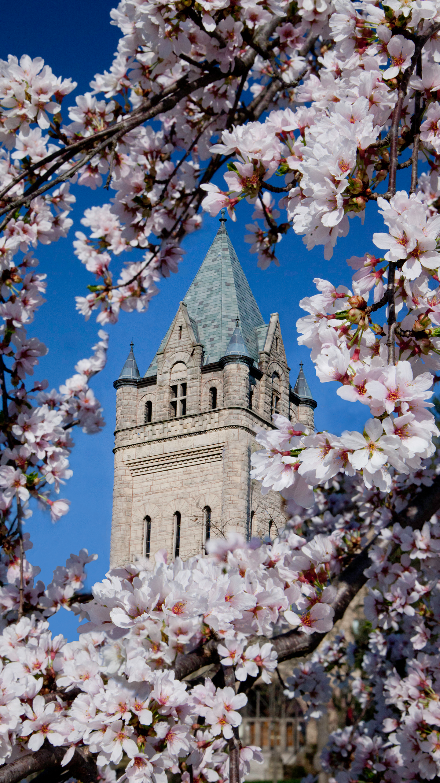 Digital Wallpaper. Ohio Wesleyan University