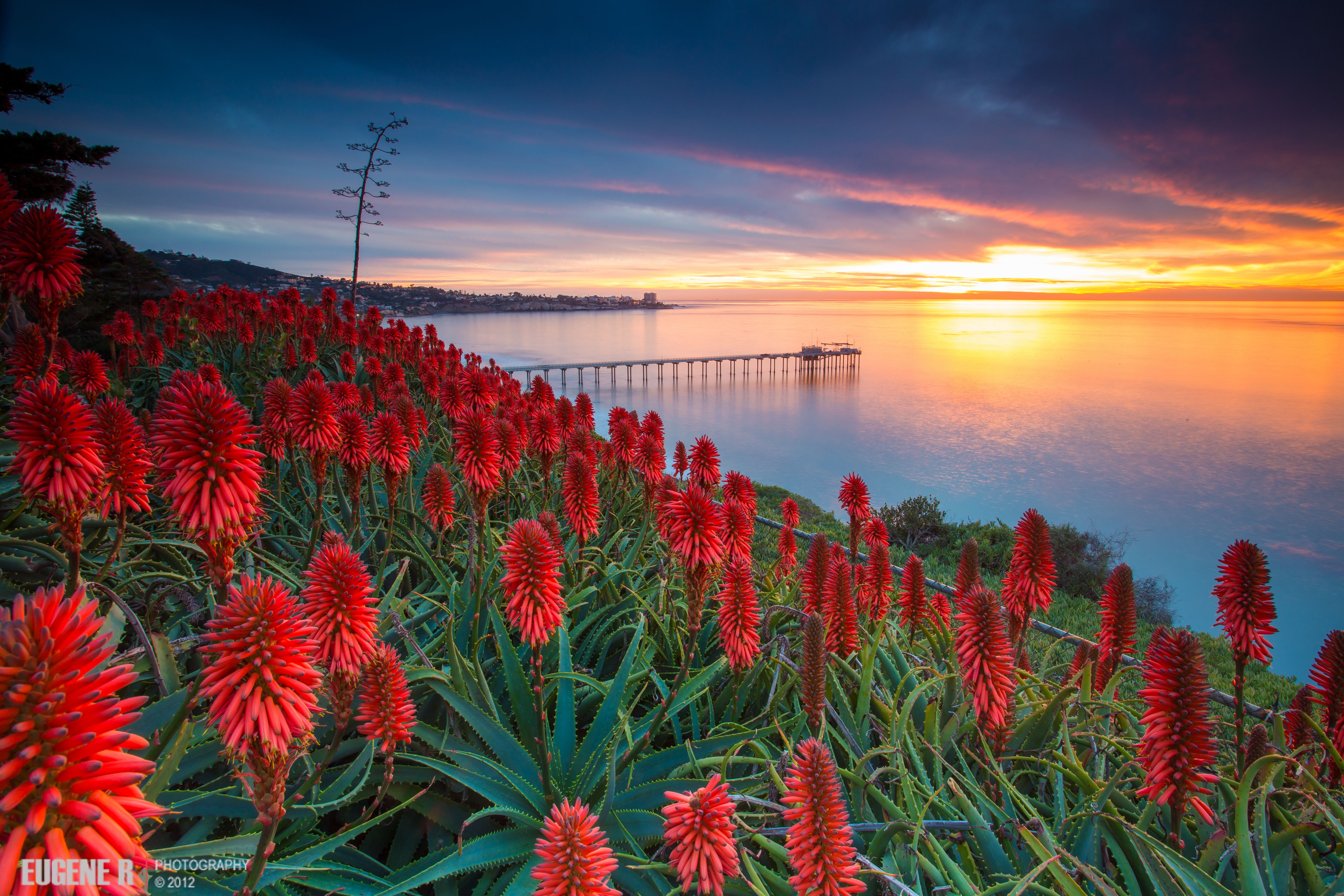 Elevation of La Jolla Village Dr, San Diego, CA, USA
