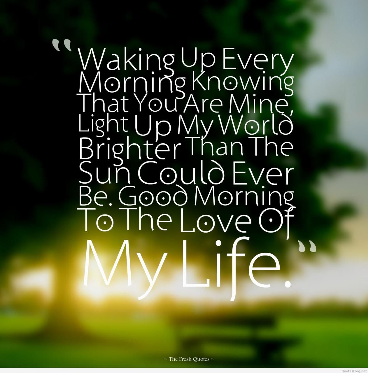 Morning My Love Quotes