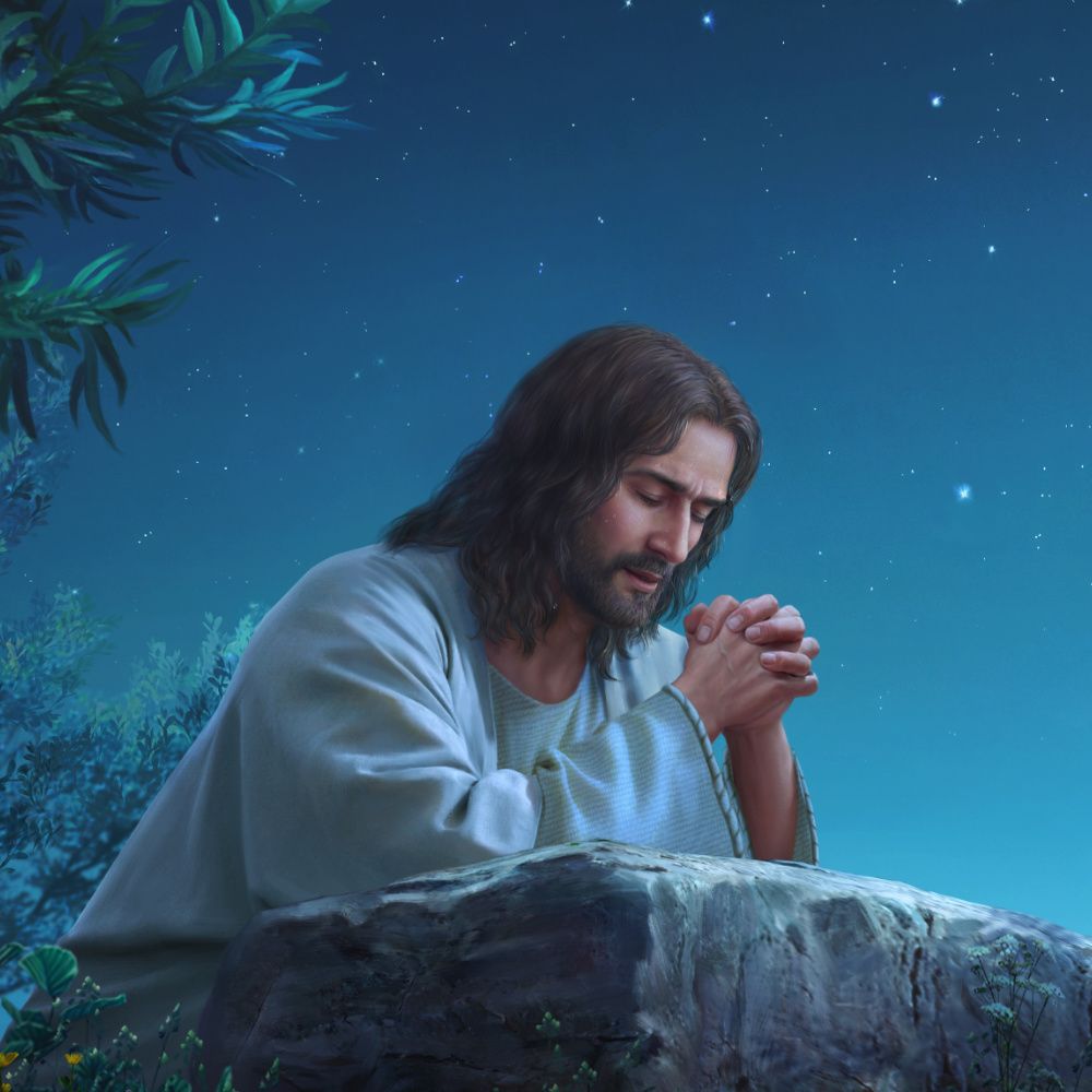 pictureofjesus #loveofJesus #JesusChrist #prayer. Jesus christ painting, Jesus praying, Jesus painting