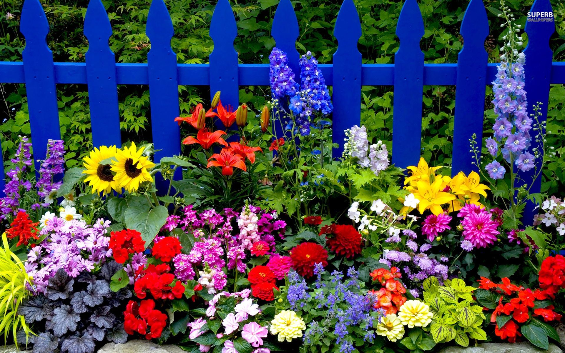 May Flowers Wallpaper Bing