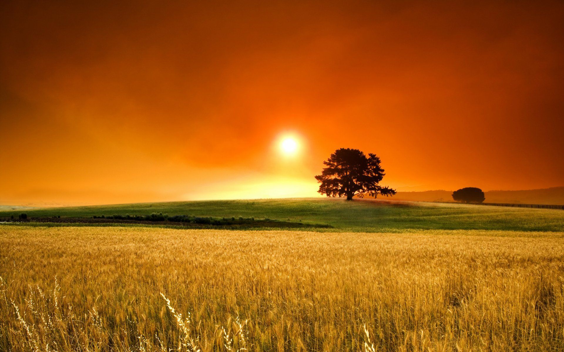 Summer Sunset Wallpa. Landscape Wallpaper, Sunset Picture, Sunset Nature
