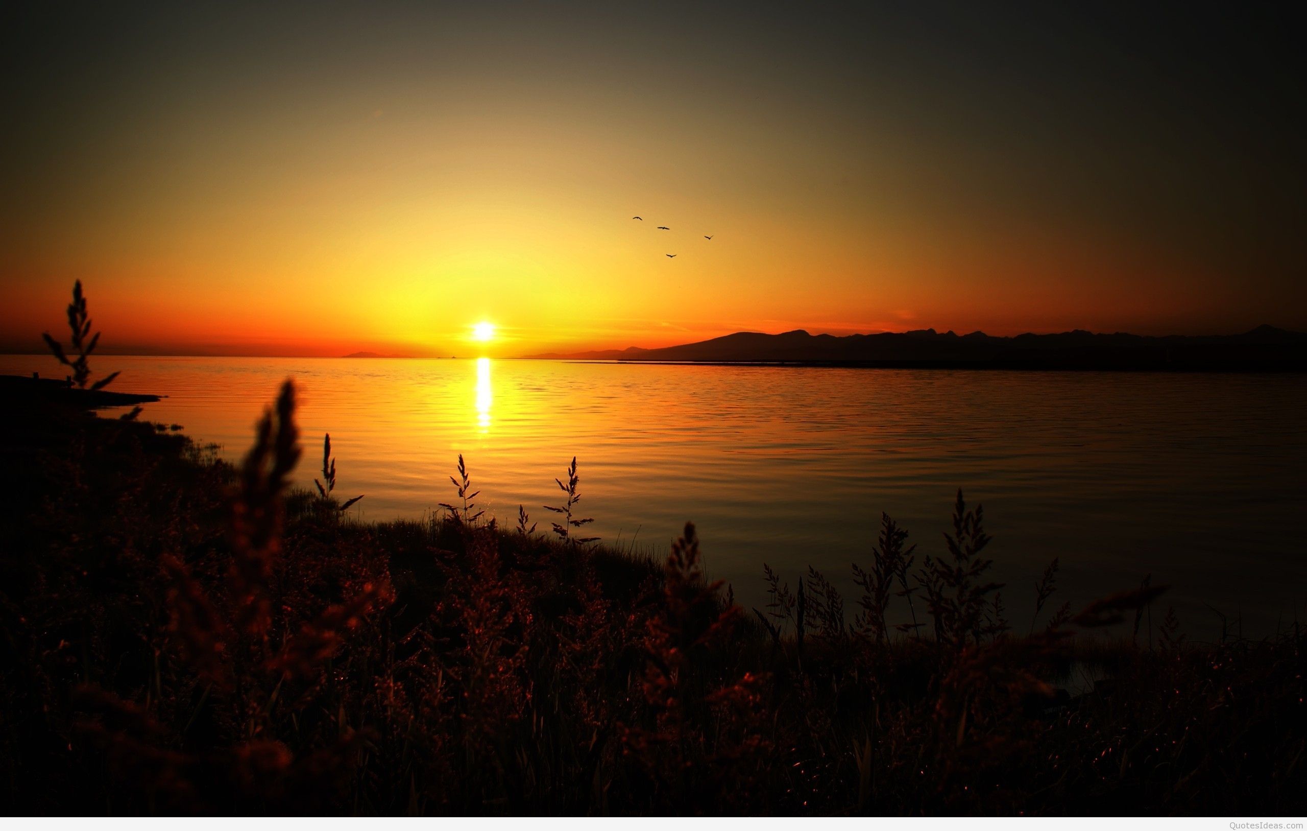 Sunset lake summer wallpaper free download
