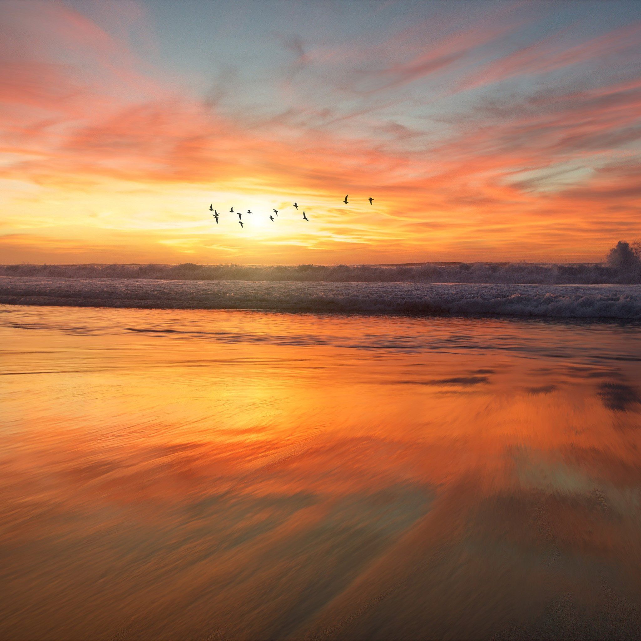 Sunset Sea Nature Orange Summer Sky Bird iPad Air Wallpaper Free Download
