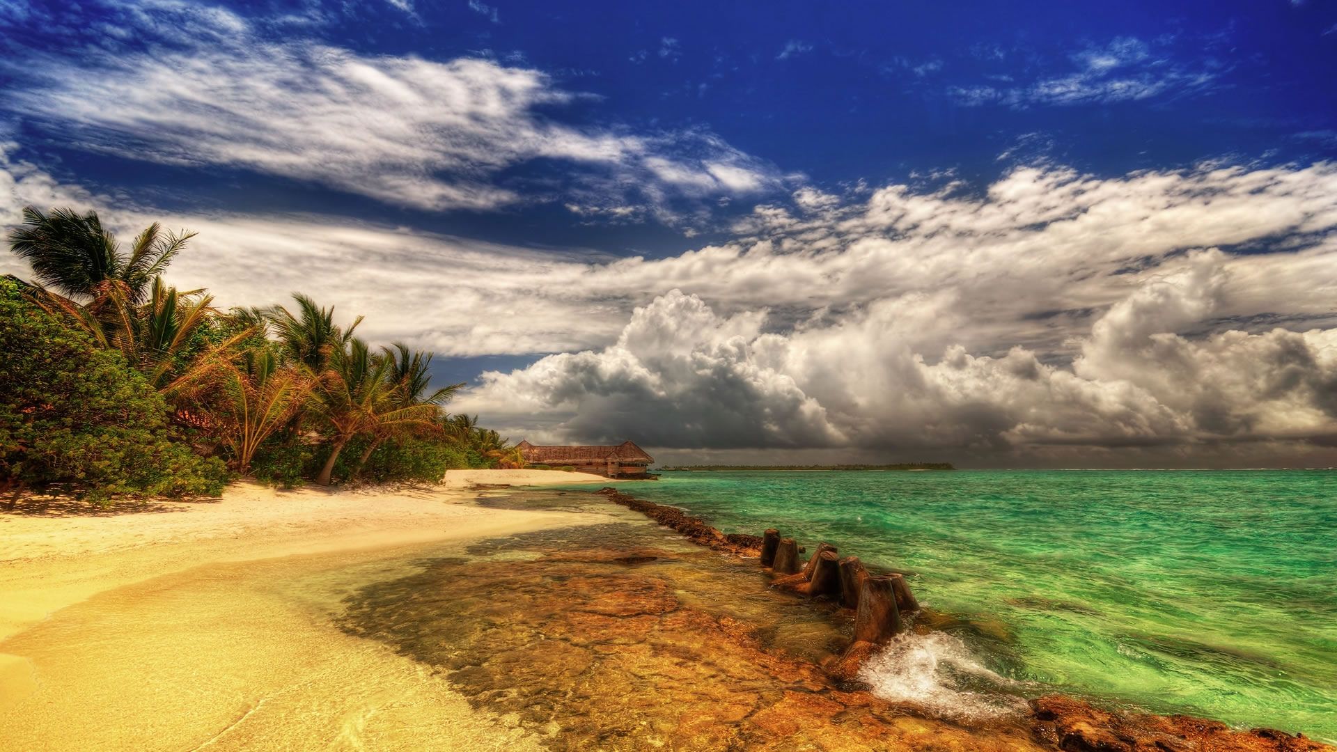 Beautiful Summer Beautiful Coast Coastal Nature Ocean Palm Tree Palms Sand Scenery Scenic Skies Stunning Tropical Warm White Clouds. Beach Bar Bums